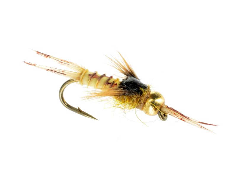 Micro Stonefly Golden / Stonefly Nymph / The Fly Crate