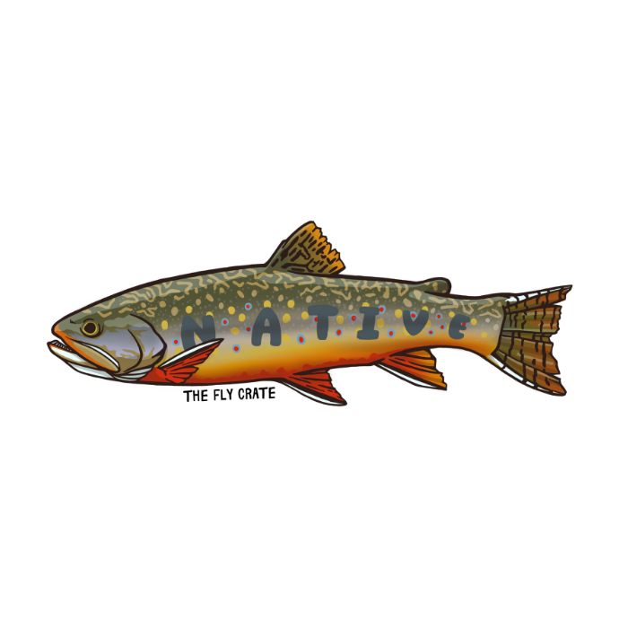 Native Brook Trout Sticker