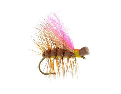 Neversink Caddis