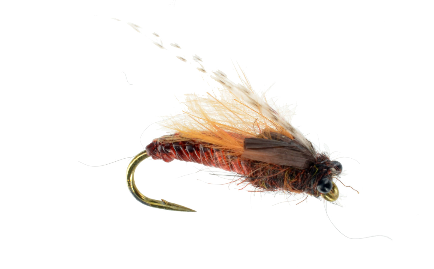 October Caddis Pupa Case Caddis SN's October Caddis Pupa – Dette Flies