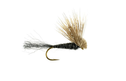 X-Caddis