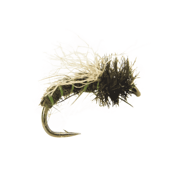 Z-Wing Caddis