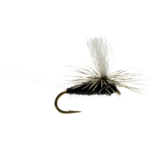 How to Fly Fish Tricos - The Fly Crate