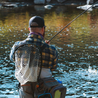 Blue-Winged Olive Mayflies: Everything You Need To Know - The Fly Crate